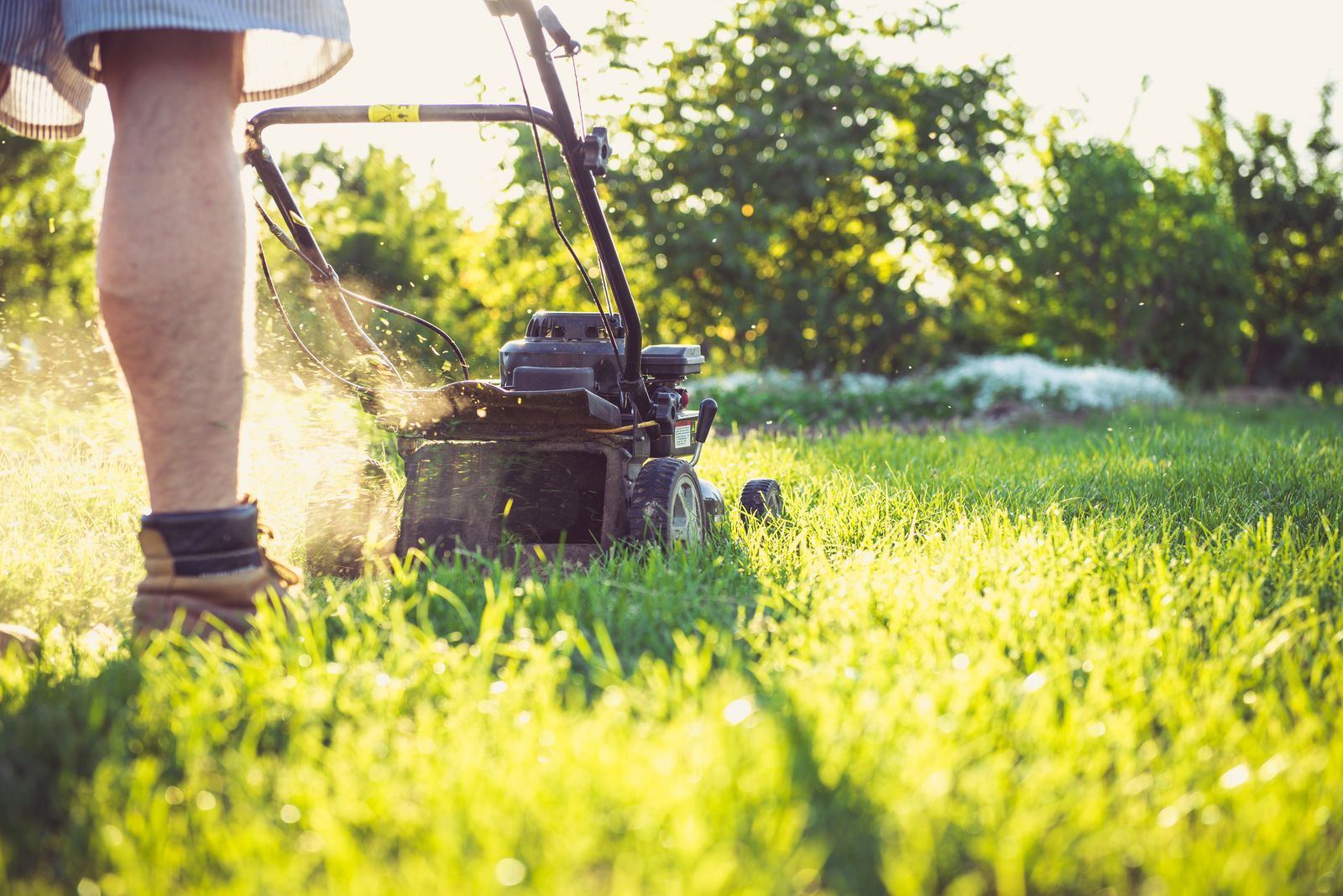 Lawn mower cutting grass close up